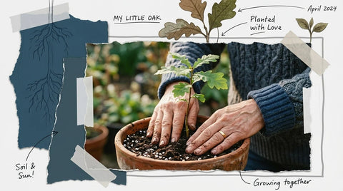 Legacy Over Lunchboxes: Shaping Future Generations