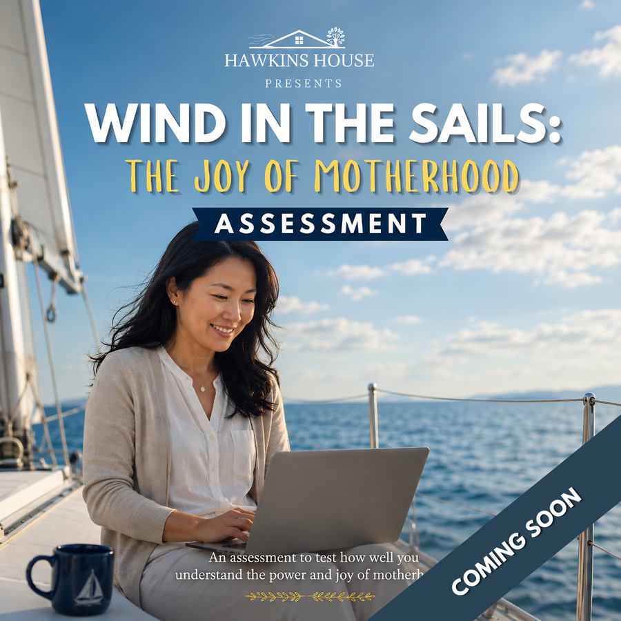 Wind In the Sails- Assessment
